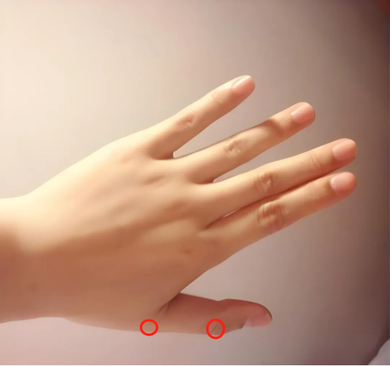 1761032374415645.png 中医