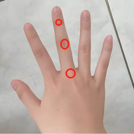 1761032455448670.png 中医