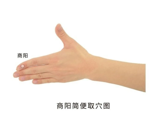 1761032515735179.png 中医