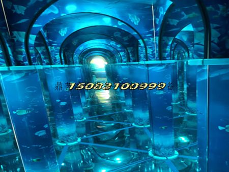 镜子迷宫游乐项目 镜子迷宫游乐项目