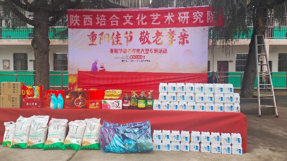 陕西培合文化艺术研究院