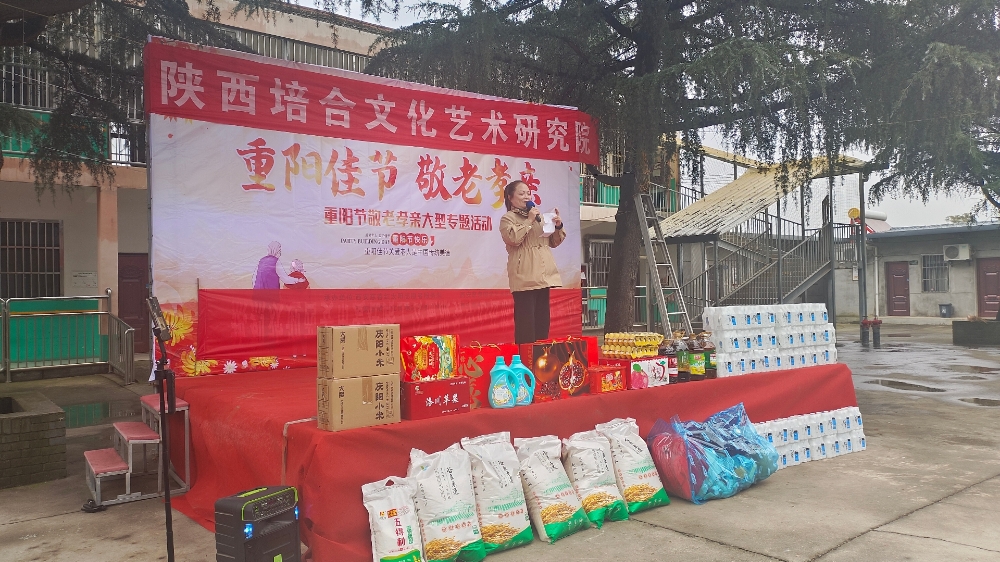 陕西培合文化艺术研究院