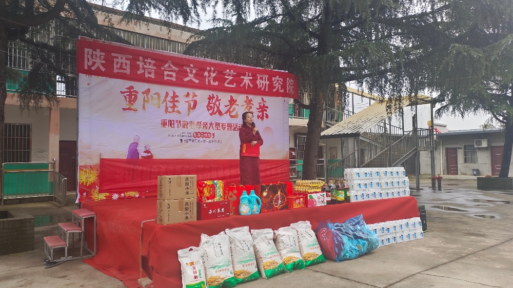 陕西培合文化艺术研究院