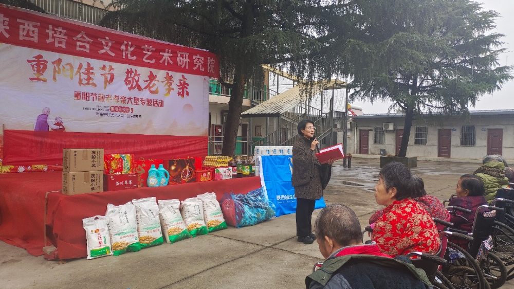 陕西培合文化艺术研究院