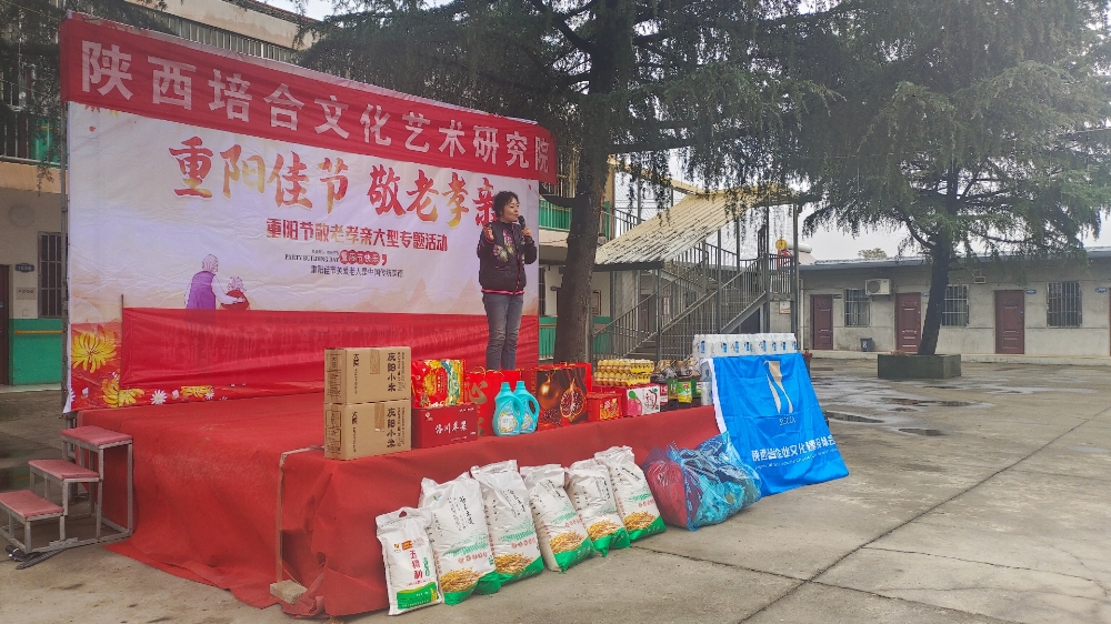 陕西培合文化艺术研究院