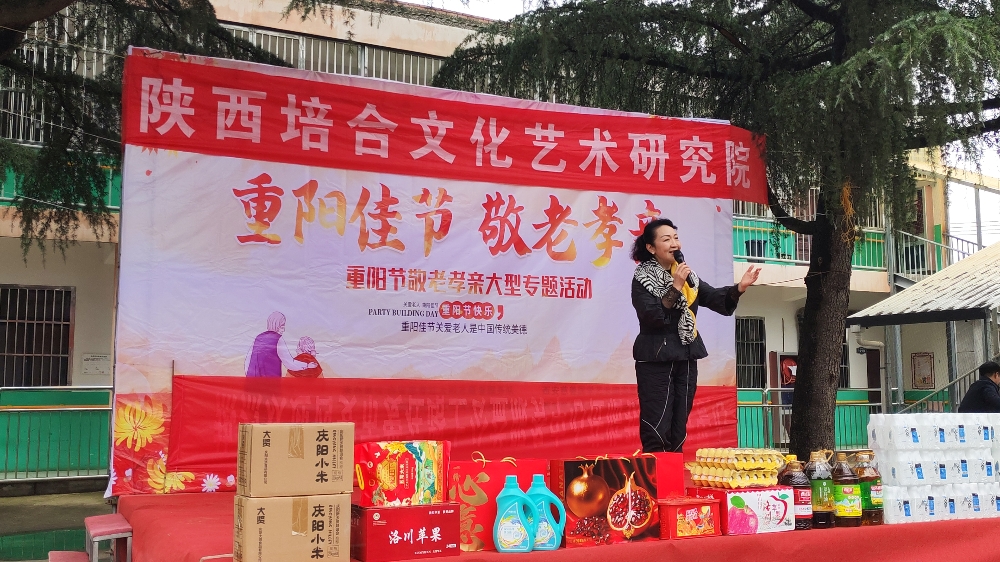 陕西培合文化艺术研究院