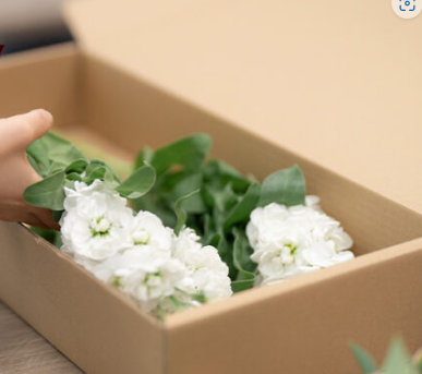 1761570356429199.png 如何正确运送装在瓦楞纸箱中的鲜花?