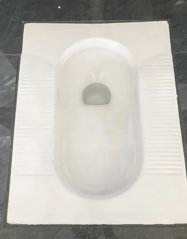 排臭蹲便器