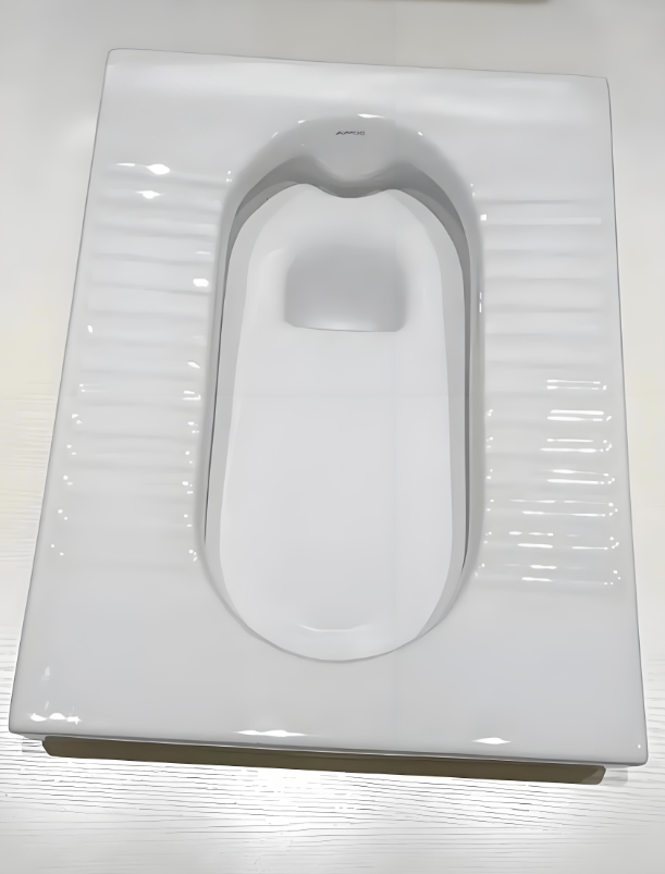 排臭蹲便器