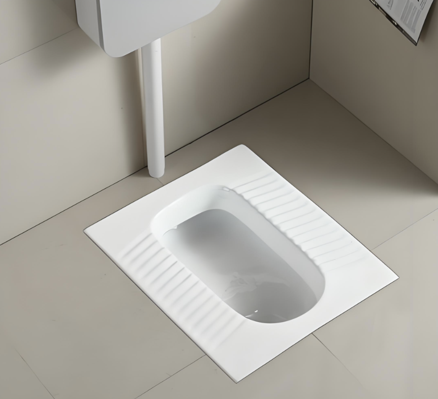 排臭蹲便器