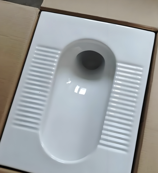 排臭蹲便器