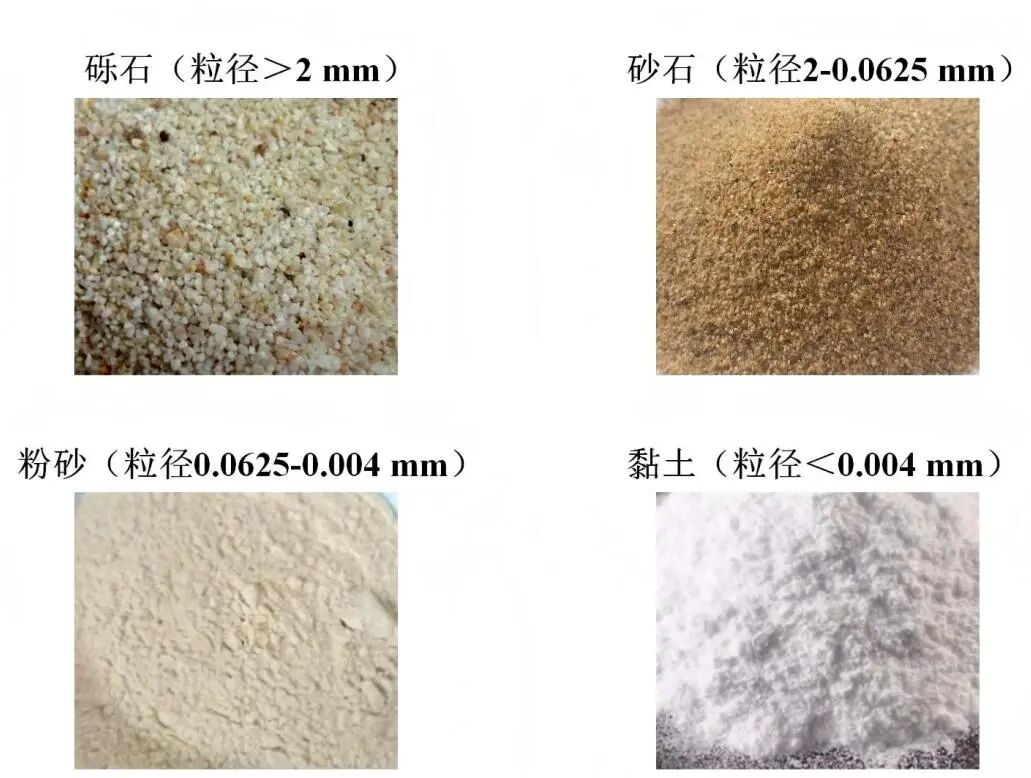 水生态恢复必须遵循清水、透光、自然三大法则