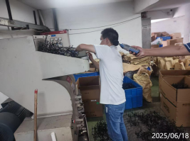 1762308925604490.png 信息公示