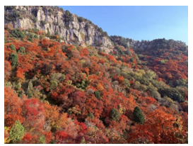 1762429032100105.png 宝瀛航运