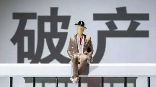 1762837691111835.png 有限公司破产后债务谁承担?