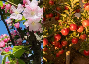 陕西文华建筑景观工程有限公司