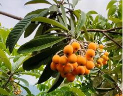 陕西文华建筑景观工程有限公司