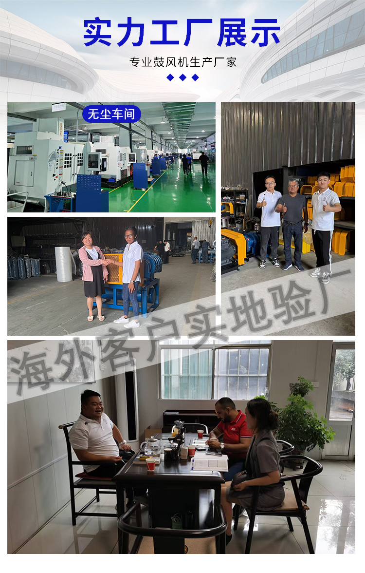 三叶罗茨鼓风机