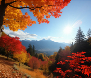 1763173048398989.png 陕西文华建筑景观工程有限公司