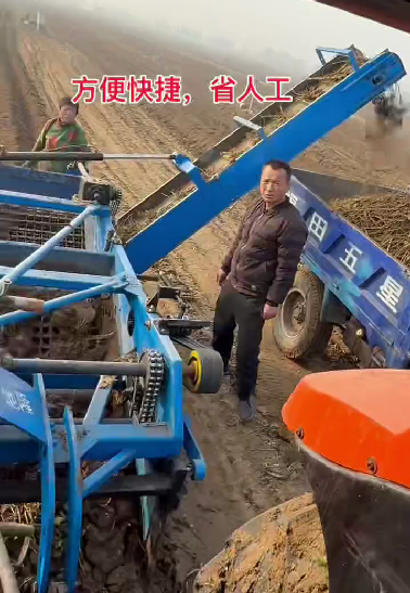 联合式白术收获机