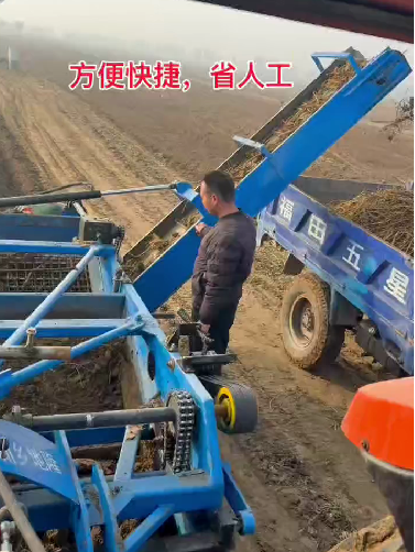 联合式白术收获机