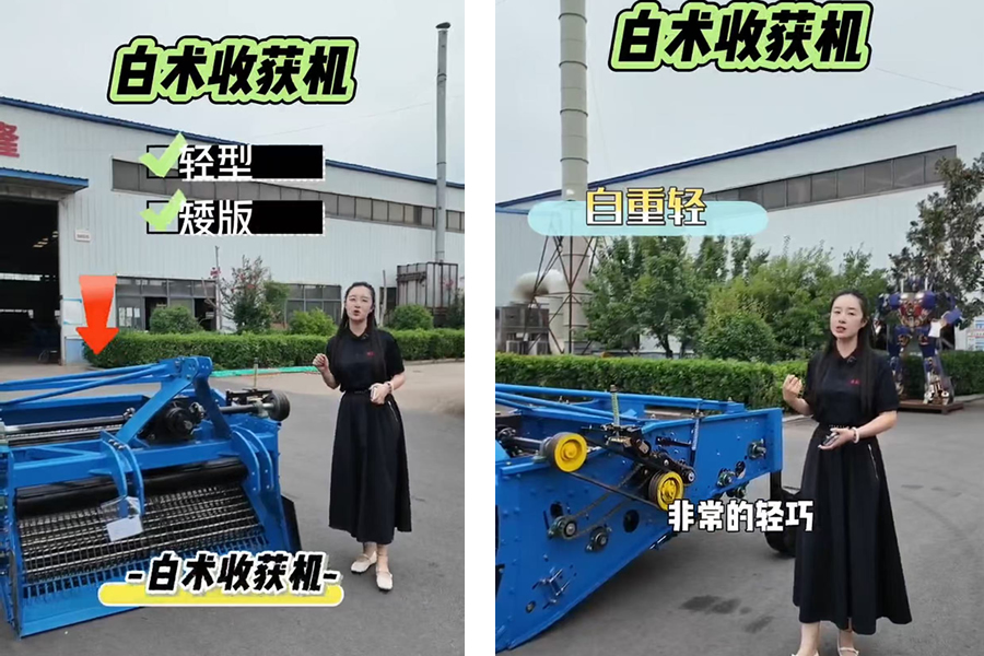 轻型矮板白术收获机