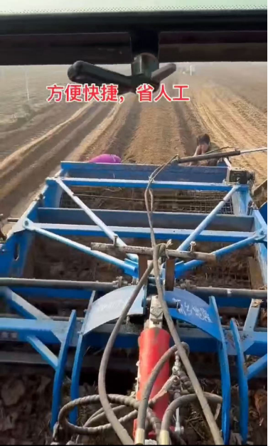 1763368188401009.png 联合式白术收获机