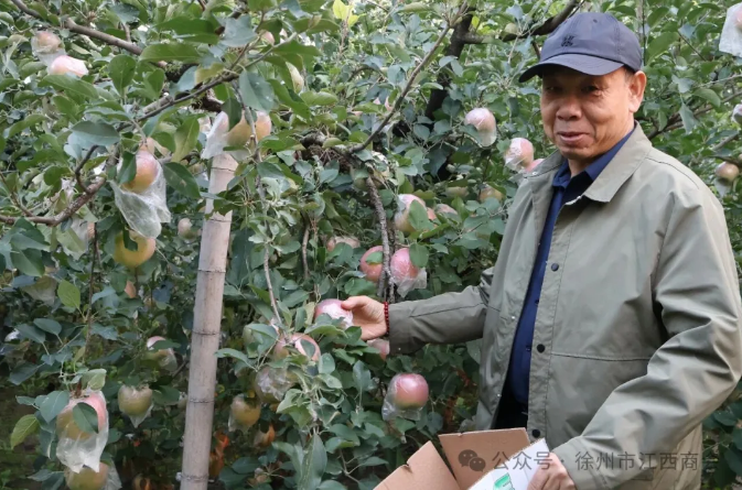 1763447872908425.png 江西