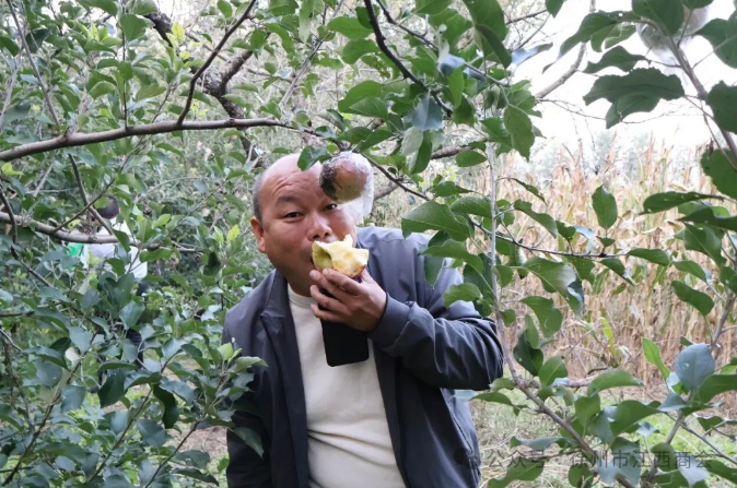 1763447880492242.png 江西