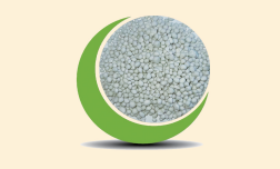 1763454659907640.png 复合肥20-20-8