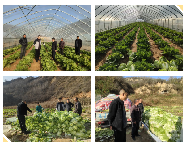 延安城投物业服务有限公司