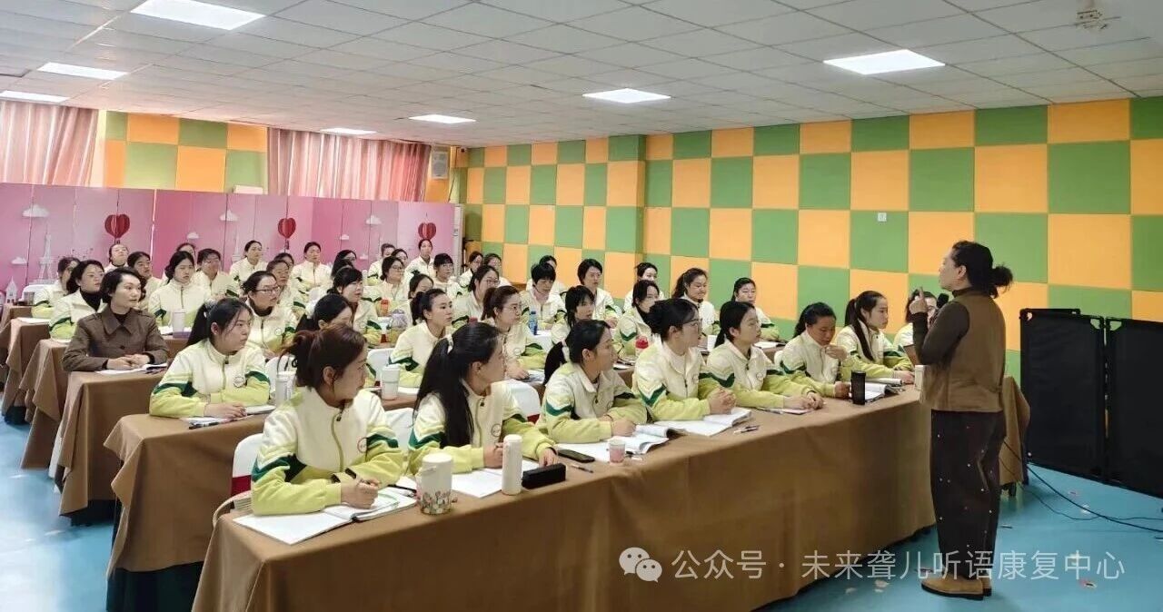 1764239586349371.jpg 听障