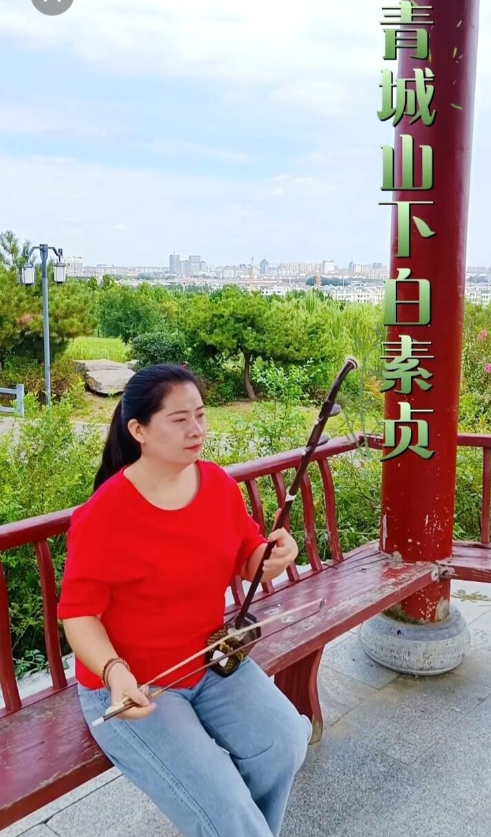 1765080695842873.jpg 琴歌