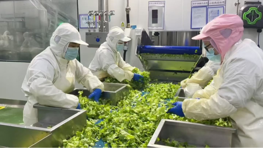 1765434317623440.png 杨凌绿阳高新农业发展有限责任公司