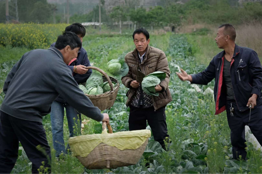 1765434634163992.png 杨凌绿阳高新农业发展有限责任公司