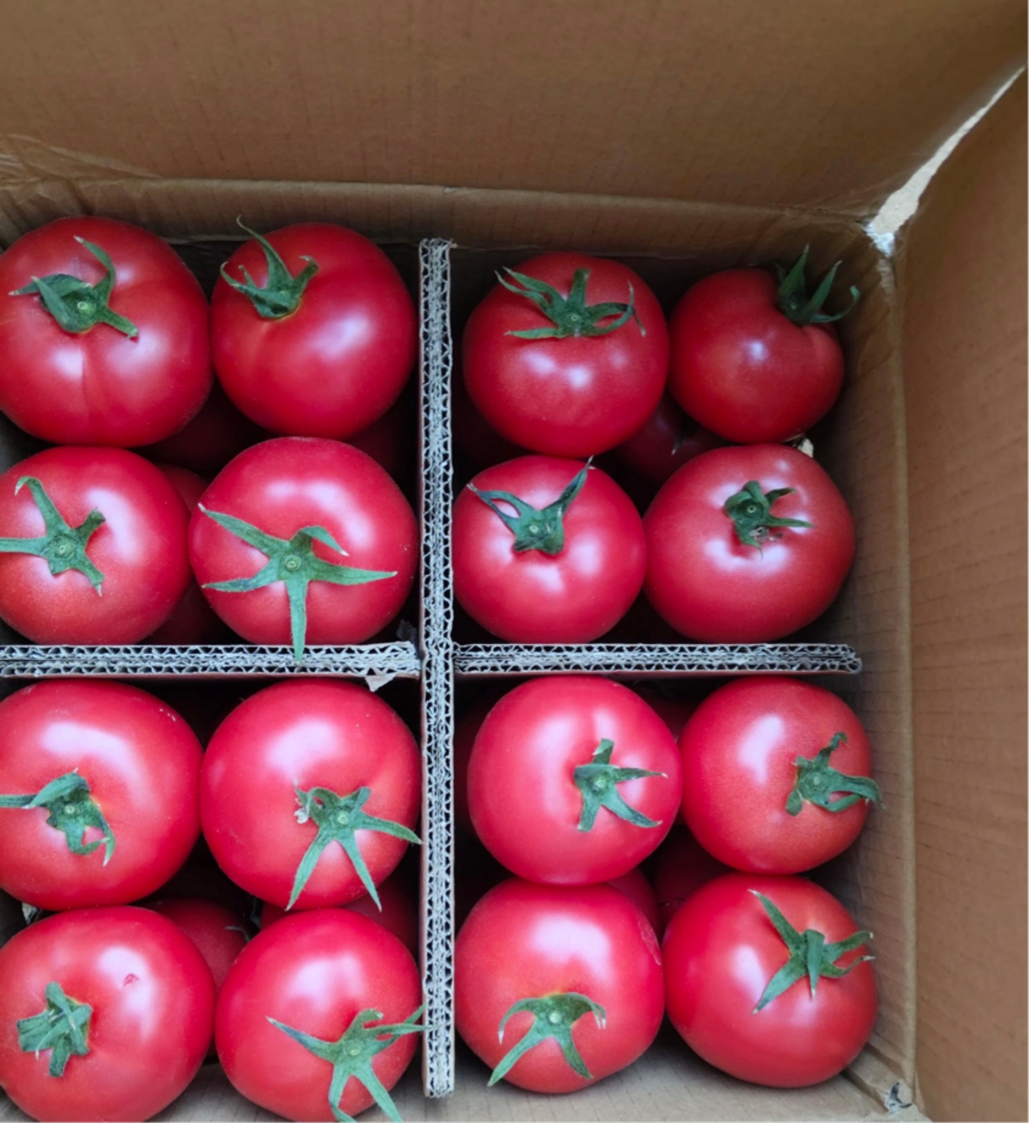 杨凌绿阳高新农业发展有限责任公司