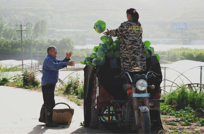 1765435050139316.png 杨凌绿阳高新农业发展有限责任公司