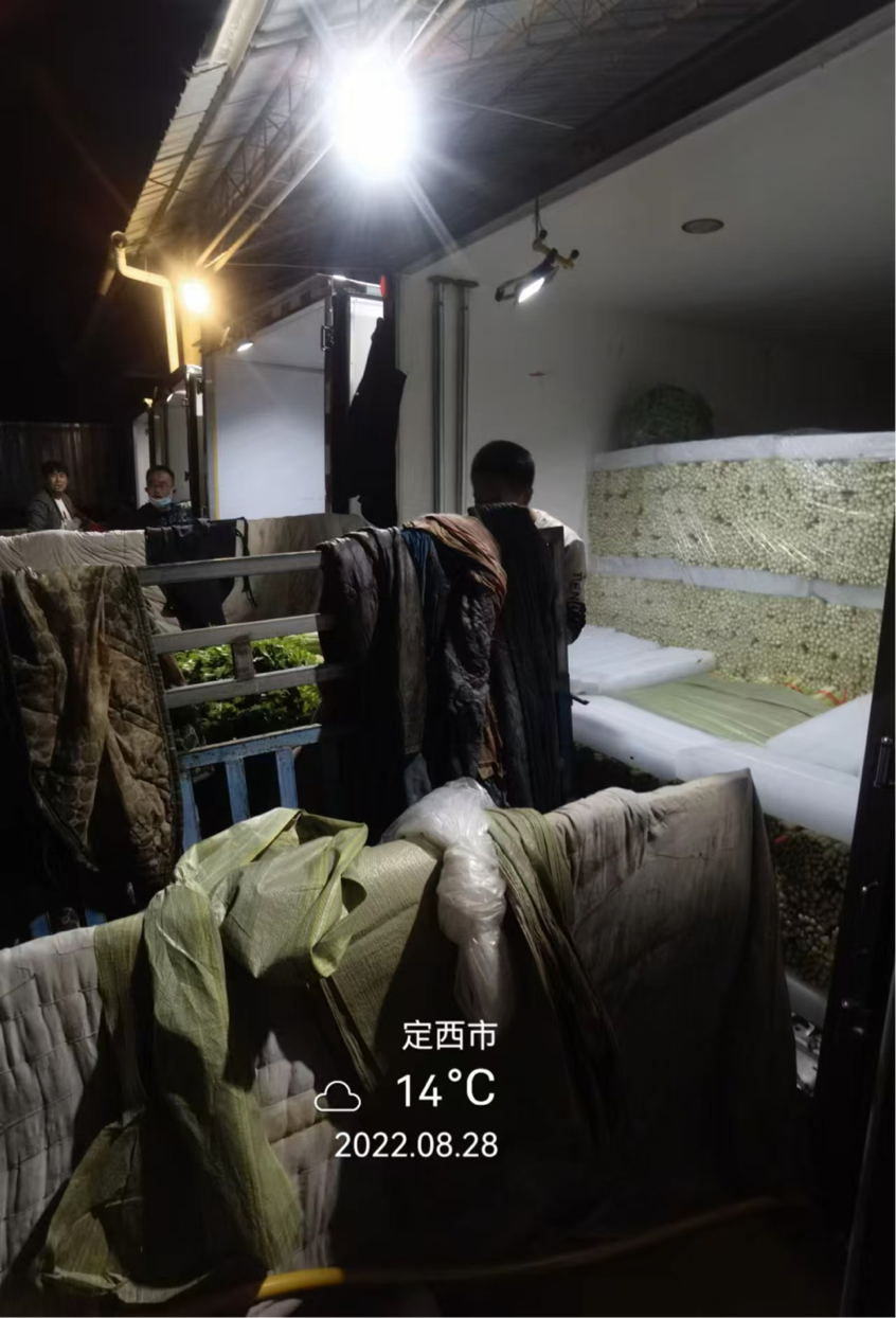 1765435071789654.png 杨凌绿阳高新农业发展有限责任公司