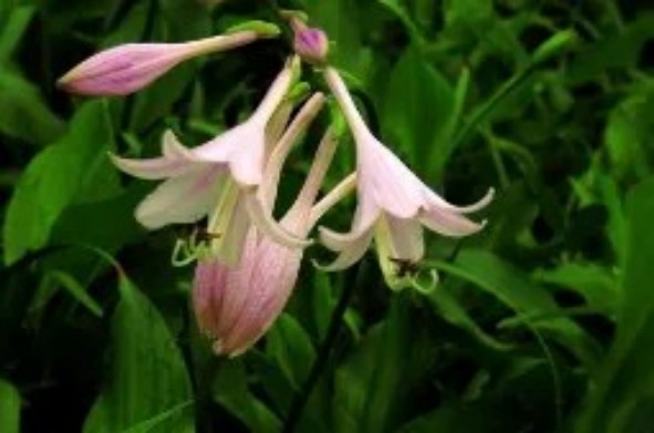 1765443265433493.jpg 陕西文华建筑景观工程有限公司