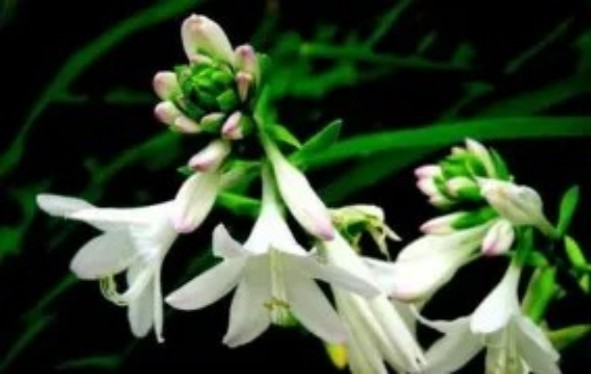 1765443269447741.jpg 陕西文华建筑景观工程有限公司