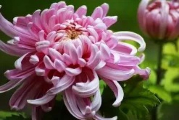 1765443286998187.jpg 陕西文华建筑景观工程有限公司