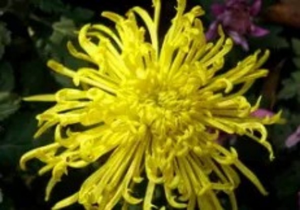 1765443295524282.jpg 陕西文华建筑景观工程有限公司