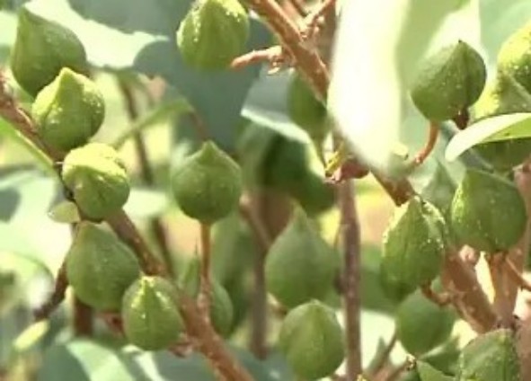 1765443319191664.jpg 陕西文华建筑景观工程有限公司