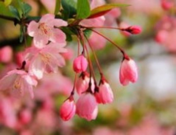 1765443339477223.jpg 陕西文华建筑景观工程有限公司