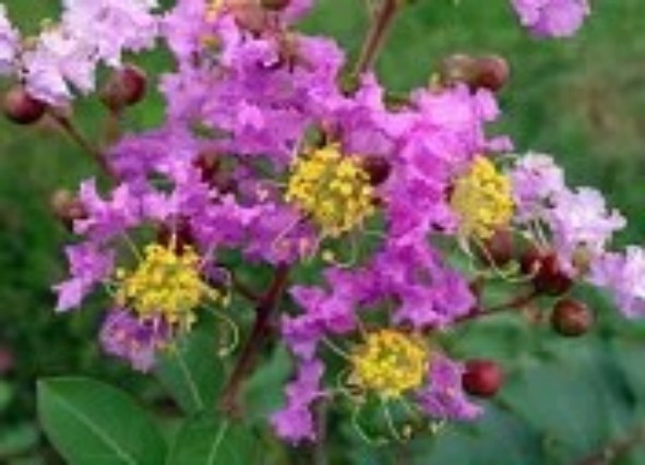 1765443353762785.jpg 陕西文华建筑景观工程有限公司