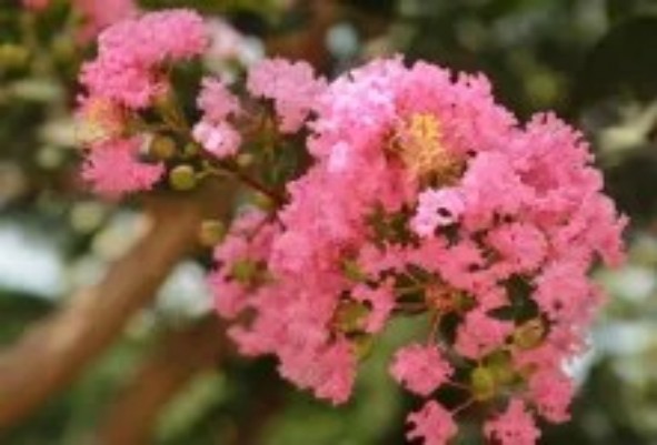 1765443363296430.jpg 陕西文华建筑景观工程有限公司