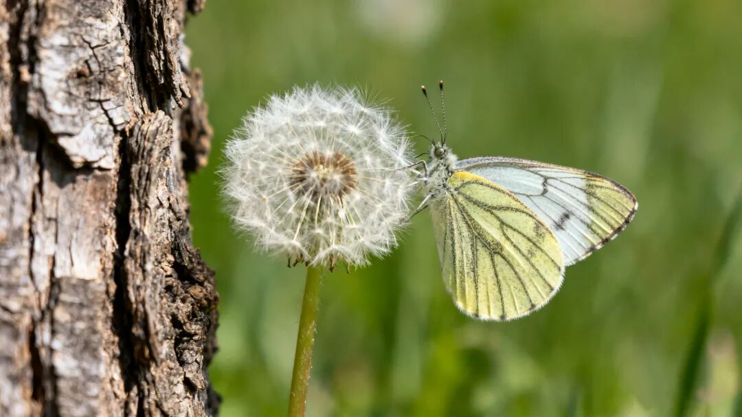 1765593657427116.jpg 恒康实业集团