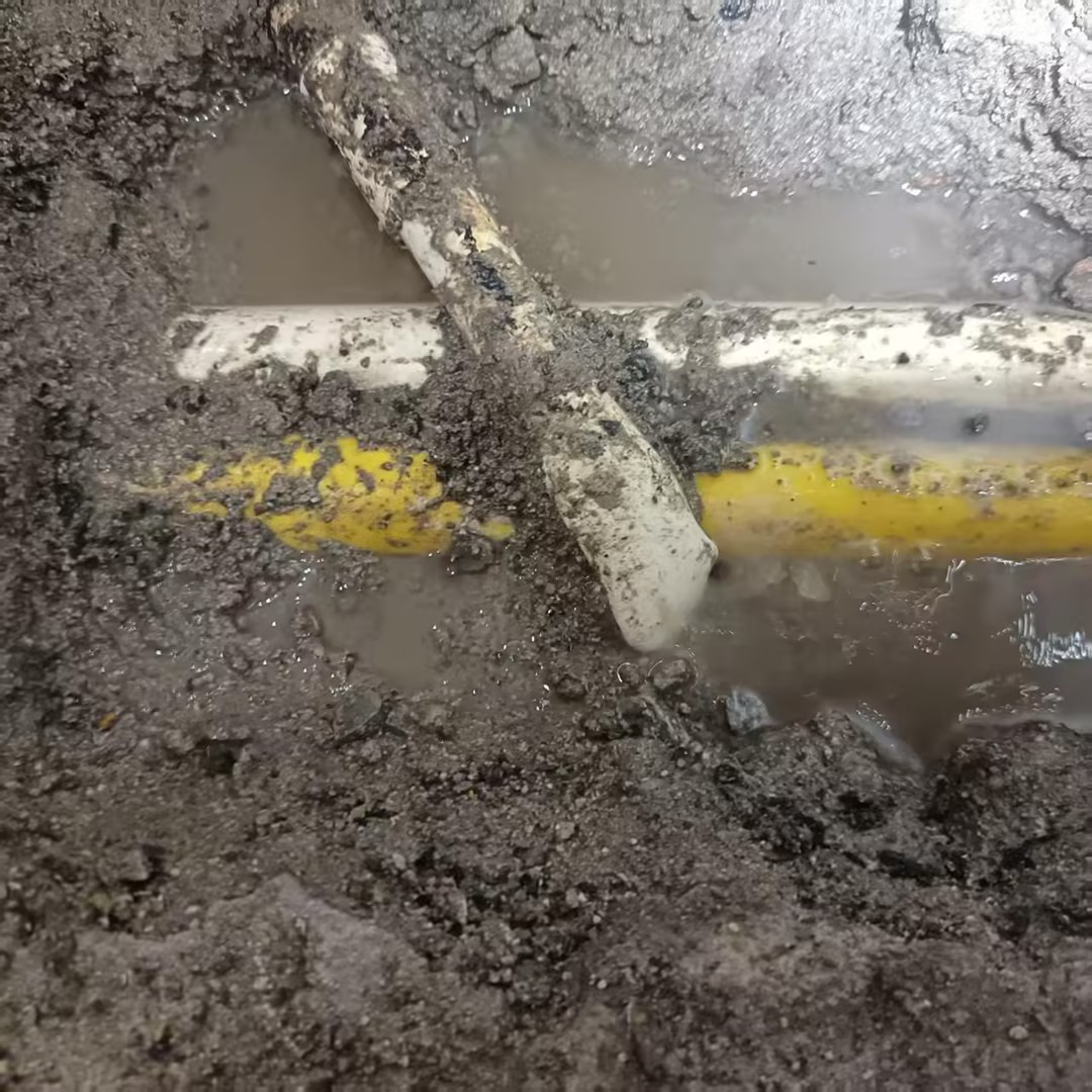 成都，冠城花园2期2栋，困扰客户好几年漏水问题终于处理