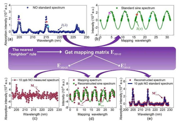 分析仪如何准确检测和诊断呼吸系统炎症性疾病？