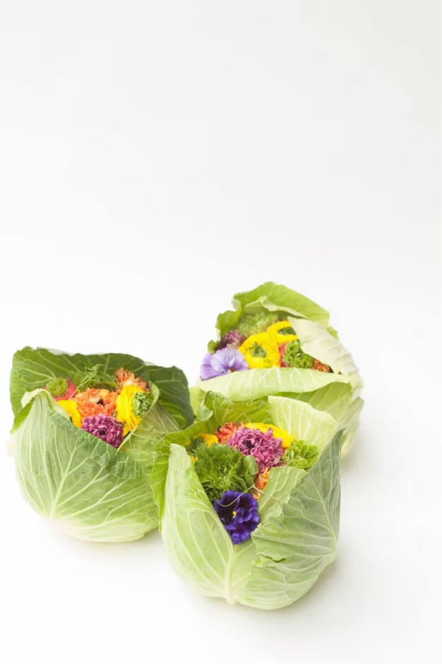 1765955763478176.png 杨凌绿阳高新农业发展有限责任公司